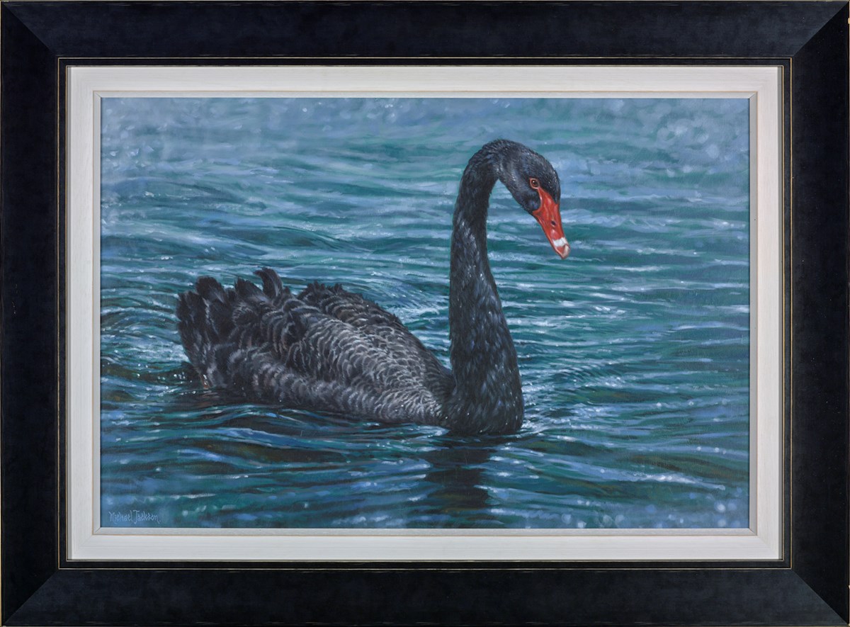 Black Swan
